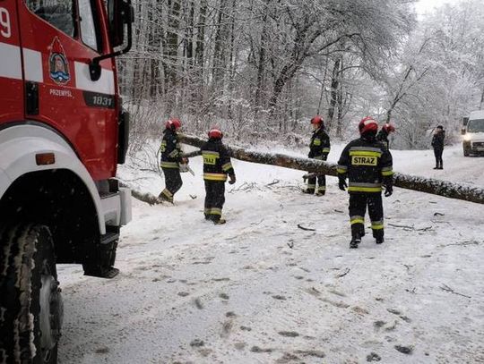 2101 interwencji strażaków po opadach śniegu i deszczu ze śniegiem