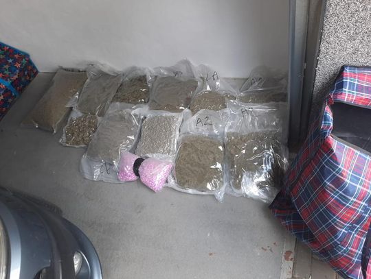 25 kilogramów narkotyków o wartości 1,5 mln zł przechwycili bydgoscy policjanci