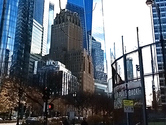 "Ameryka Trumpa jednak pięknieje". Krótka refleksja trenera sportów walki Ryszarda Pujszo