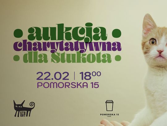 Aukcja charytatywna Stukot w Bydgoszczy – wesprzyj bezdomne koty 22 lutego