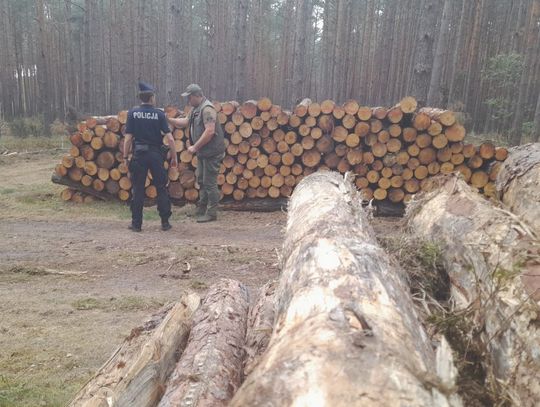Bydgoscy policjanci patrolują wspólnie ze Strażą Leśną tereny leśne