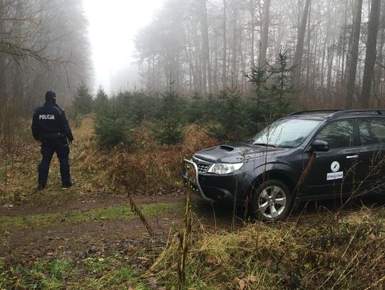 Bydgoska policja i Straż Leśna kontrolują prawidłowe zachowania zbieraczy zrzutów w lesie
