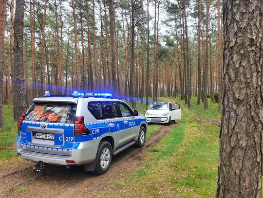 Bydgoskie lasy pod czujnym okiem bydgoskich "wodniaków" i leśników