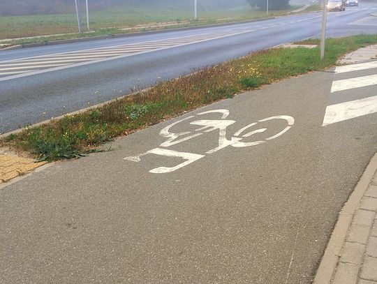 Bydgoszcz domyka trasę rowerową na Osowej Górze. Ruszyła budowa przy ulicy Kolbego