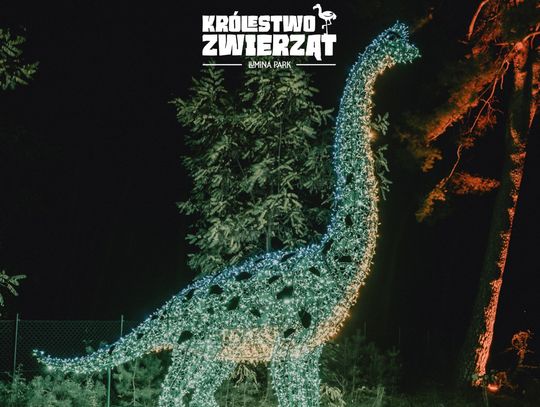 Bydgoszcz zamieni się w rozświetlone Królestwo Zwierząt! Już od 31 października do Myślęcinka powraca Lumina Park