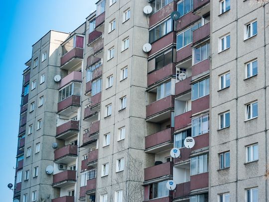 Bydgoszczanka zabiła psa wyrzucając go z balkonu na 10 piętrze 