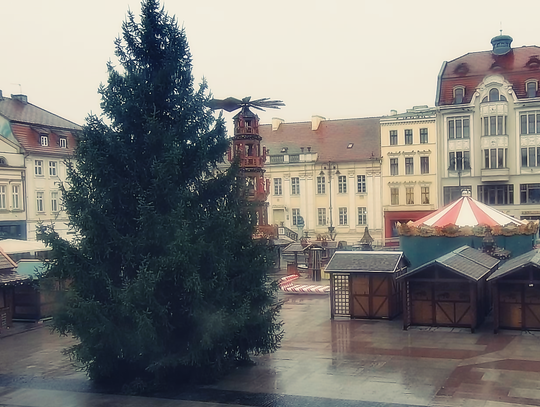 Choinka na Starym Rynku stanęła — rozświetlenie 21 listopada i start Jarmarku