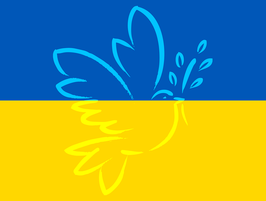 Darmowe zdjęcia dla obywateli Ukrainy