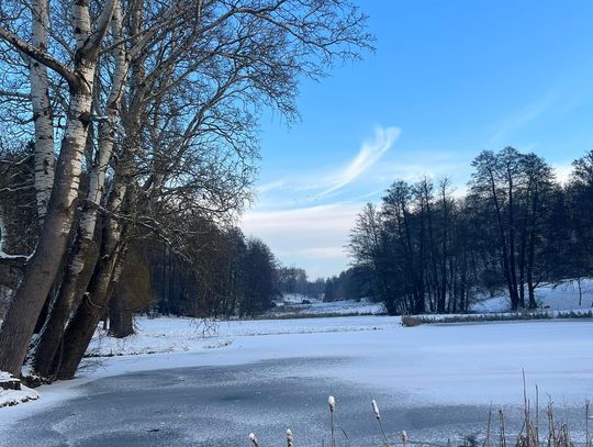 Drzwi otwarte w Ogrodzie Botanicznym Myślęcinek: Bezpłatne zwiedzanie 17–18 stycznia