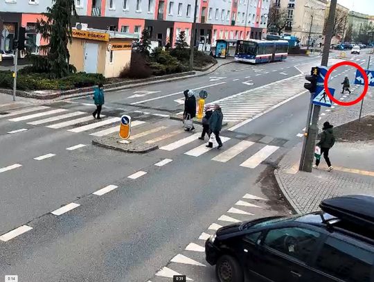 Działania "Bezpieczny pieszy" na drogach Bydgoszczy i powiatu bydgoskiego