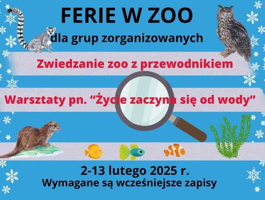 Plakat promujący ferie w ZOO z grafikami zwierząt