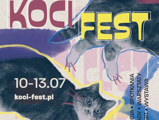 Festiwal Miłośników Kotów KOCI FEST 2025 w Bydgoszczy