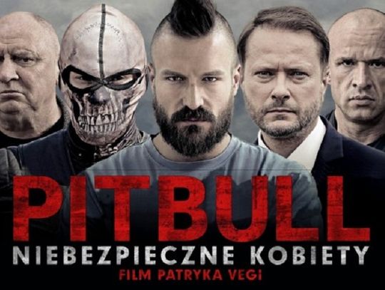 Filmy, które mieszkańcy Bydgoszczy oglądali w 2016 roku