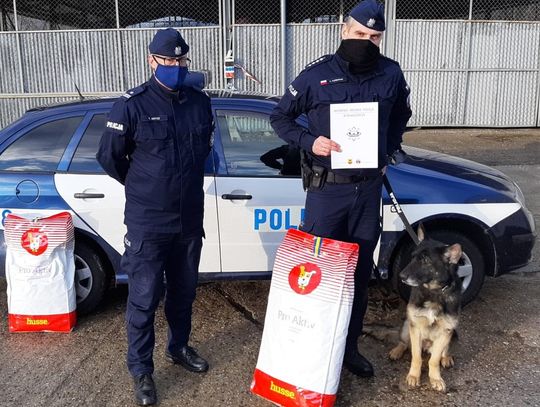 Fiona i Buczuś - policyjne psiaki z bydgoskiej komendy na zasłużonej emeryturze [FOTO]