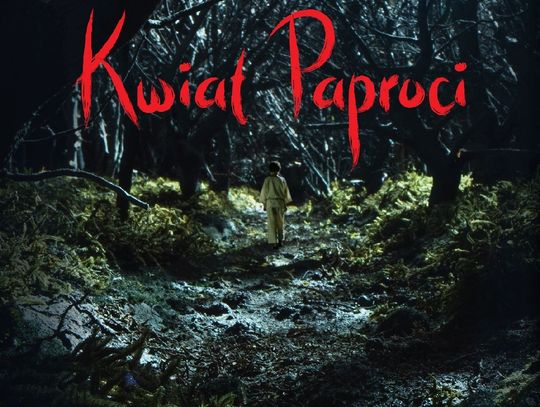 Fundacja Czarny Karzeł zaprasza na pokaz specjalny baśni filmowej "Kwiat paproci"