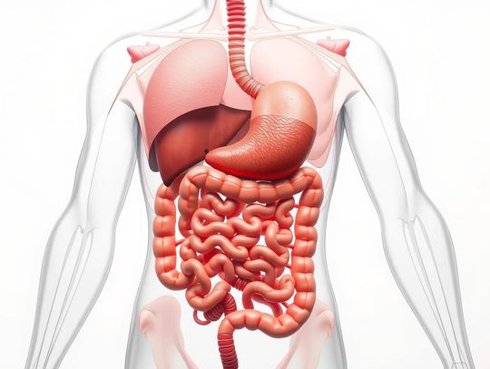 Gastroenterolog – Twoje Zdrowie