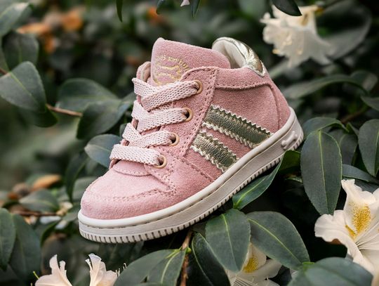 Gdzie w Toruniu kupić dobrej jakości buty dla dziecka?