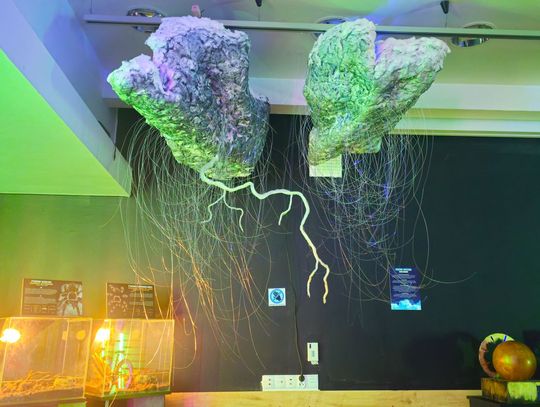 Interaktywna Wystawa Energii po raz pierwszy w Bydgoszczy