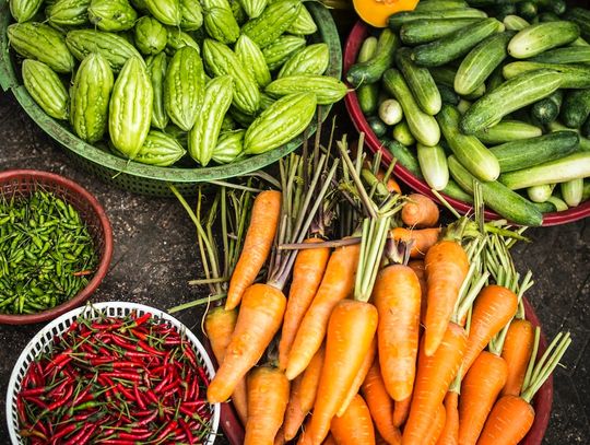 Jak przechowywać żywność w gastronomii?