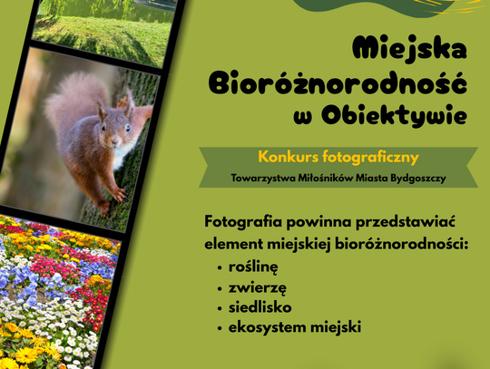 Konkurs fotograficzny "Miejska bioróżnorodność w obiektywie"