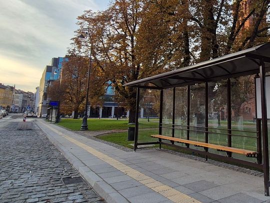 Linie autobusowe wracają na Plac Kościeleckich