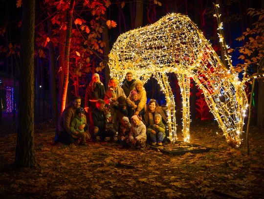 Lumina Park wraca do Bydgoszczy z trasą 'Królestwo Zwierząt'