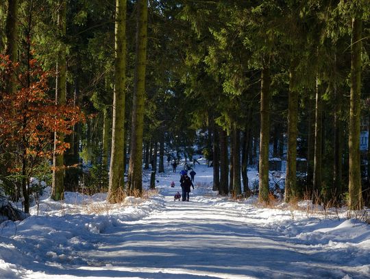 Luty z "Kulturą na świeżym" w Bydgoszczy: Wędrówka, spacer i wyjazd do Kwidzyna
