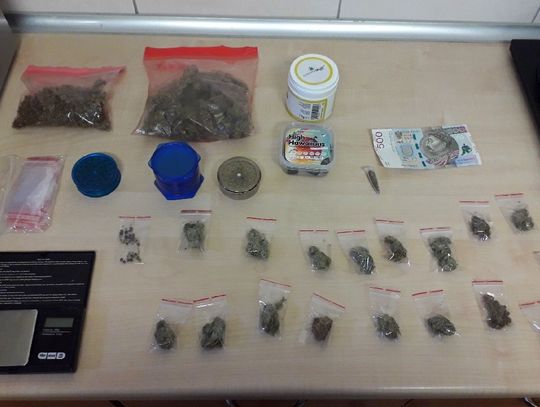 Marihuana oraz grzybki halucynogenne zabezpieczone przez bydgoską policję [WIDEO]