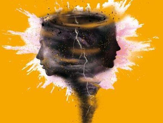 "Martwe jezioro, Czy ten rudy kot to pies?" Olga Rudnicka