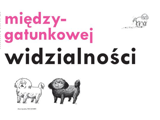Minifestiwal Międzygatunkowej Widzialności już wkrótce w BWA