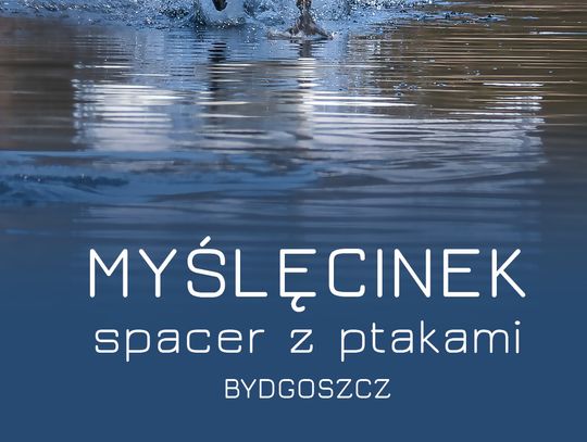 "Myślęcinek. Spacer z ptakami - Bydgoszcz". Nowy album już w księgarniach