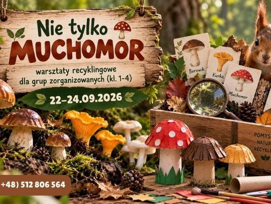 Nie tylko muchomor – warsztaty recyklingowe dla grup zorganizowanych (kl. 1-4)