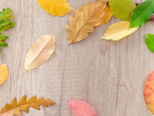 Okres jesienny – jak realizować swój wolny czas?