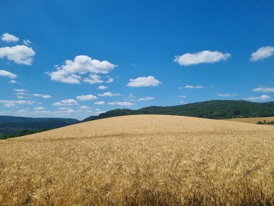 Ostrzeżenia meteorologiczne (stopień 3): [Bydgoszcz i kujawsko-pomorskie]