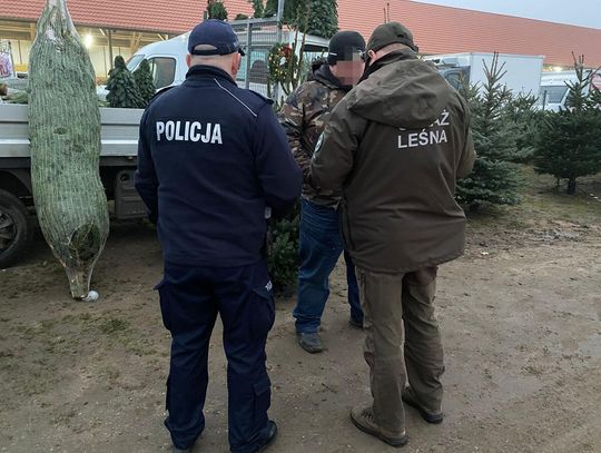 Policjanci kontrolują punkty sprzedaży choinek w regionie