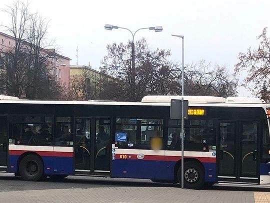 Powrót linii autobusowych nr 59 i 61 na standardowe trasy