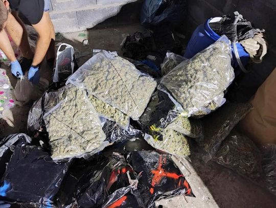 Przechwycenie narkotykowego imperium przez bydgoską policję. 150 kg grozy [FILM]