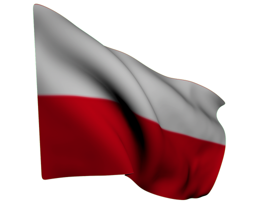 Przed nami uroczyste obchody Dnia Flagi i 234. rocznicy uchwalenia Konstytucji 3 Maja