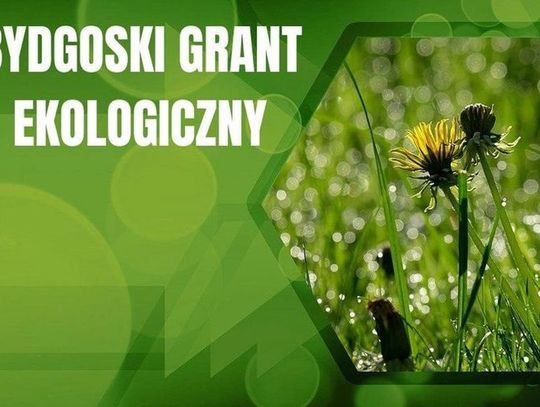 Ruszył nabór wniosków o Bydgoski Grant Ekologiczny na 2026. Termin: 15 grudnia 2025
