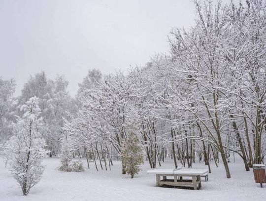 Rzeczniczka IMGW: Boże Narodzenie mroźne, ale z wyczekiwanym śniegiem