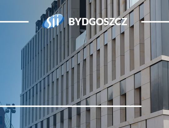 Specjaliści z branży IT znajdą pracę w Bydgoszczy