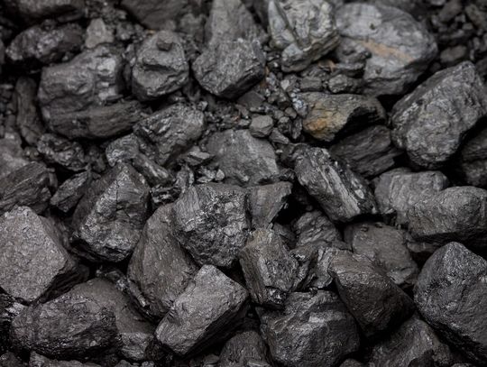 Sprawdź, jak i gdzie złożyć złożyć wniosek o zakup węgla na terenie Bydgoszczy 