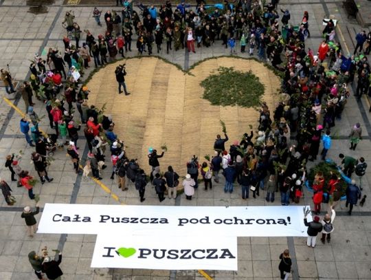Stop wycince Puszczy Białowieskiej protest w Bydgoszczy