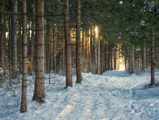 Synoptyk IMGW: W kolejnych dniach opady deszczu, śniegu i porywisty wiatr