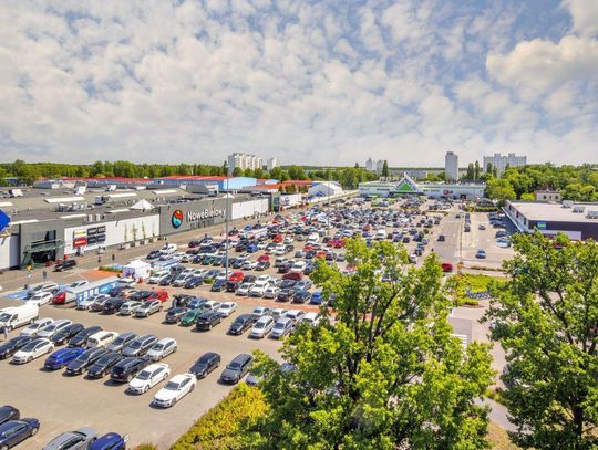Toruń: Zwierzęta ze schroniska czekają na pomoc.  W sobotę odbędzie specjalna akcja na ich rzecz