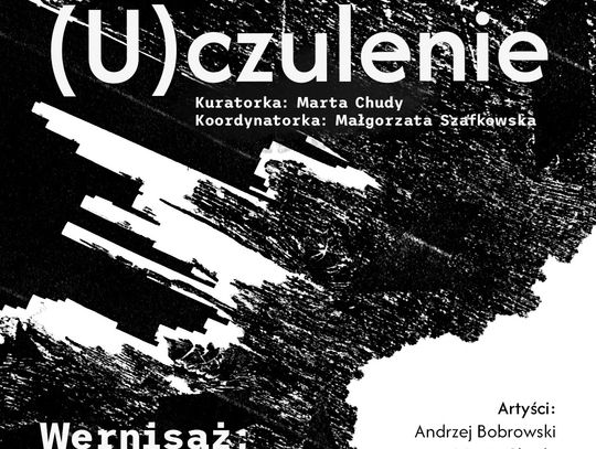 (U)czulenie – nowa wystawa czasowa w Muzeum Okręgowym im. Leona Wyczółkowskiego w Bydgoszczy