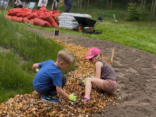 W Bydgoszczy powstaje ogród biocenotyczny. Więcej bioróżnorodności w centrum miasta W Bydgoszczy powstaje ogród biocenotyczny. Więcej bioróżnorodności w centrum miasta