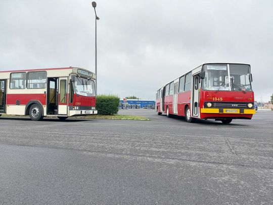 W długi weekend zabytkowym autobusem