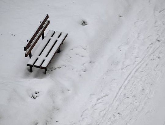 W najbliższych dniach rozpogodzenia, opady śniegu i mróz do minus 25 st. C