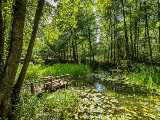 Wakacje w sercu przyrody: Tucholski Park Krajobrazowy